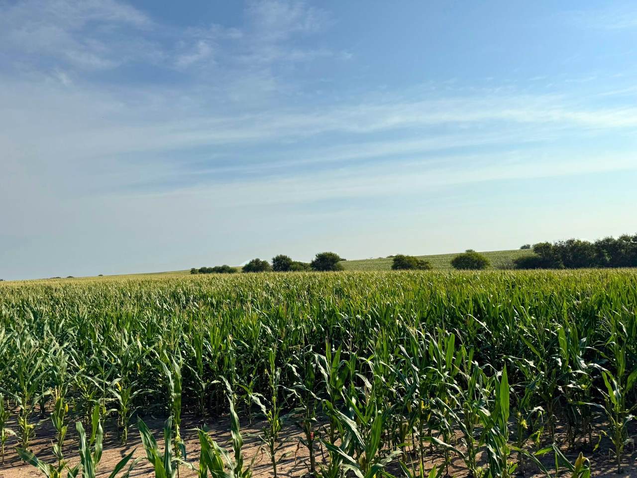 00000 Windmill Road - Photo 1