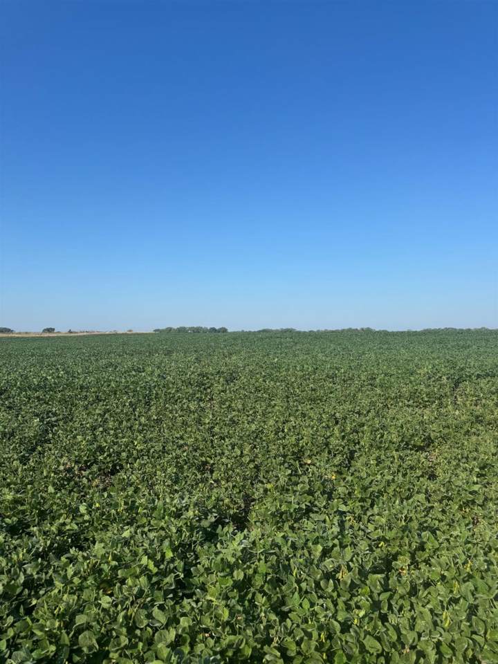 0 210th Rd - Photo 1