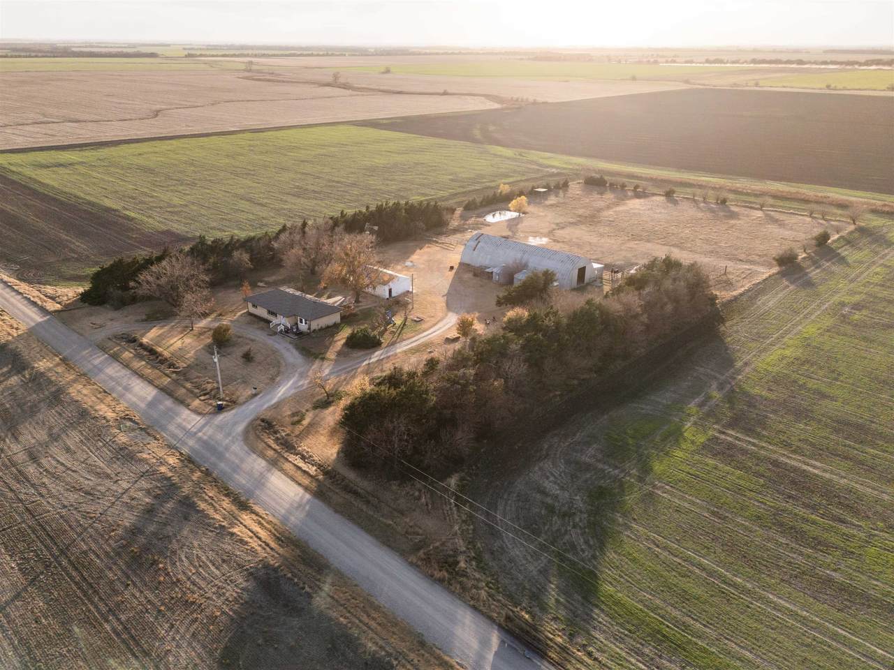 631 Maize Rd - Photo 1