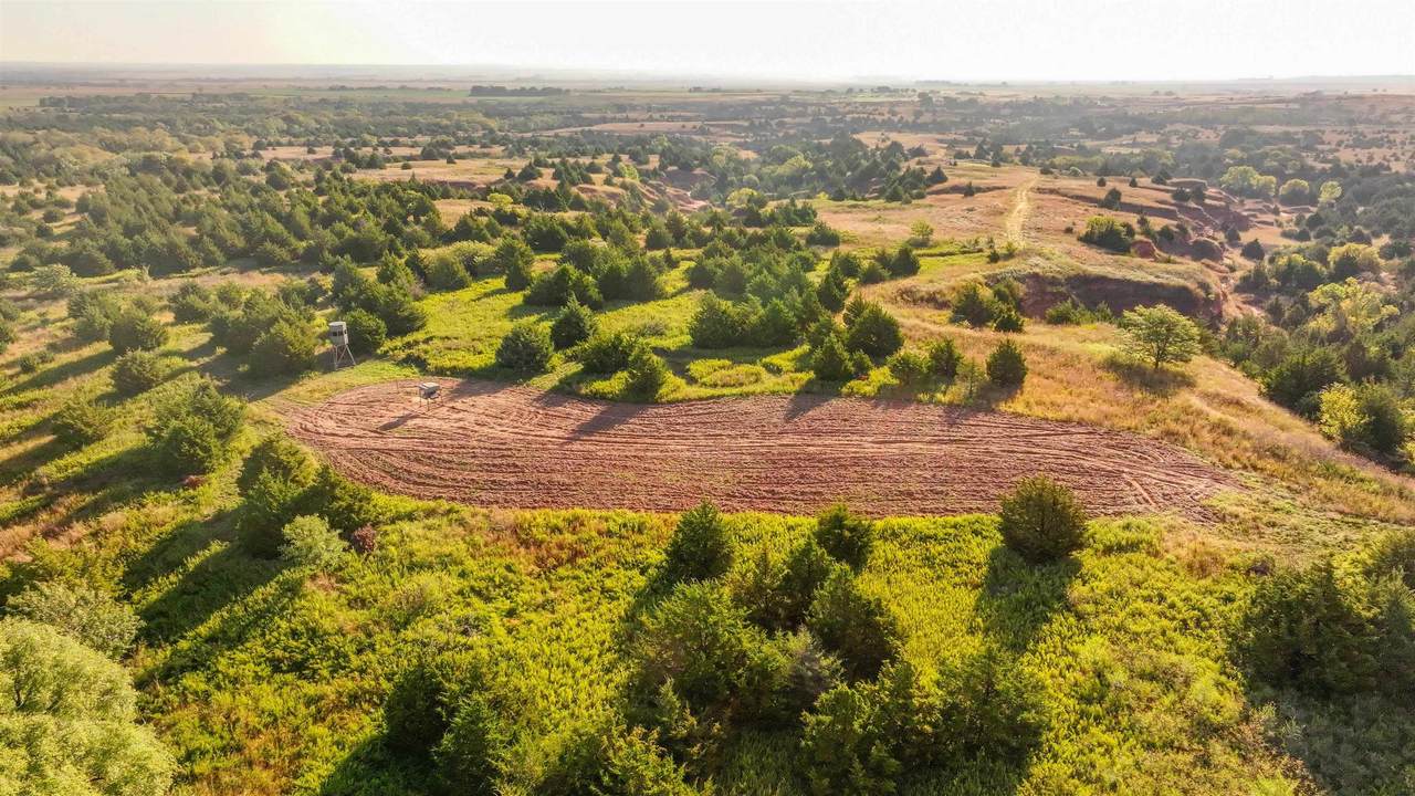 00 Blue Stem Rd - Photo 1