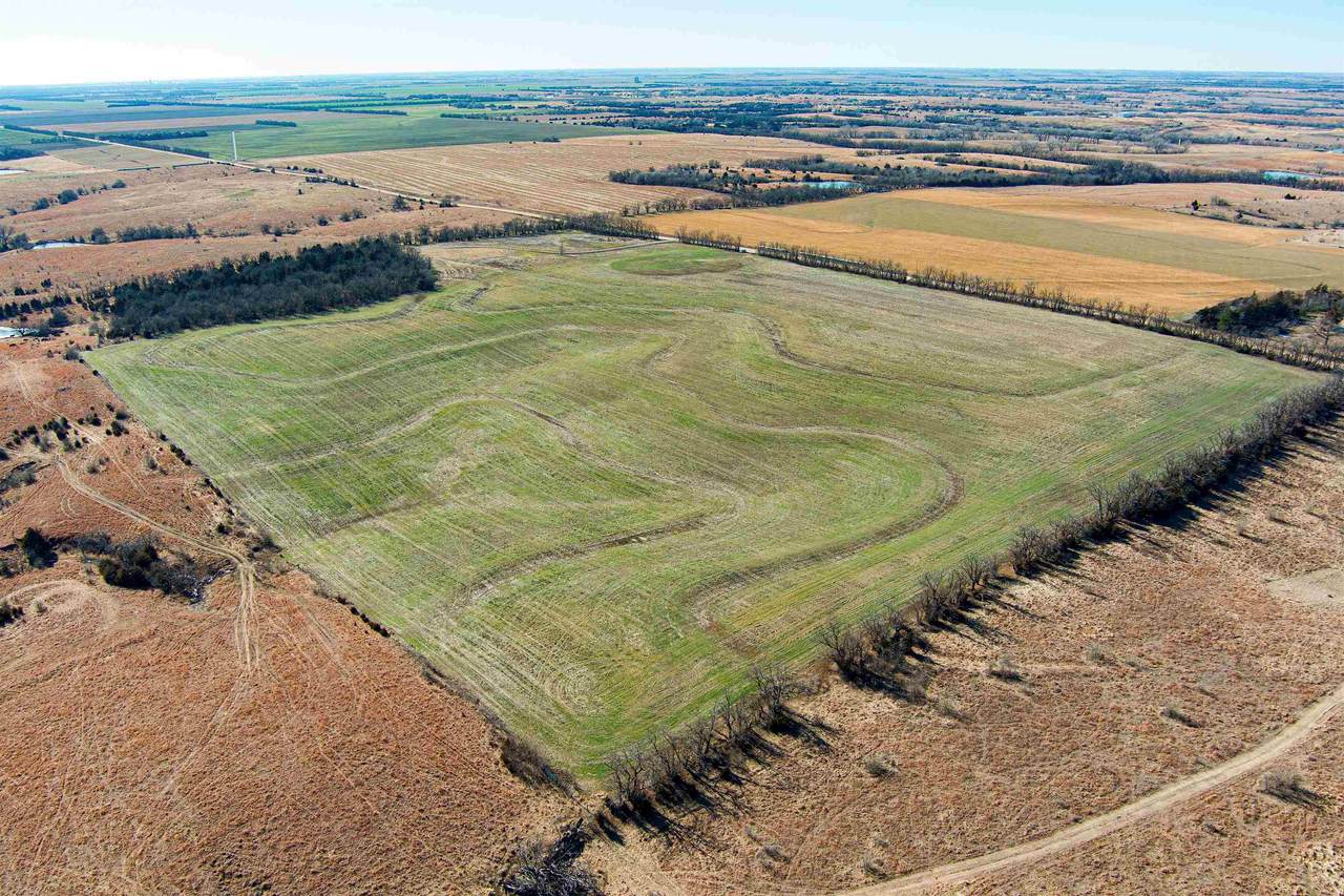 00000 Quivira Rd. - Photo 1