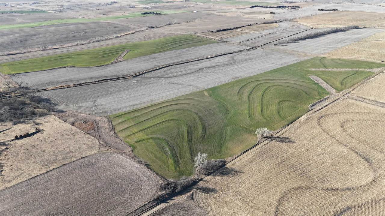 https://bt-photos.global.ssl.fastly.net/wichita/1280_boomver_1_669651-1.jpg