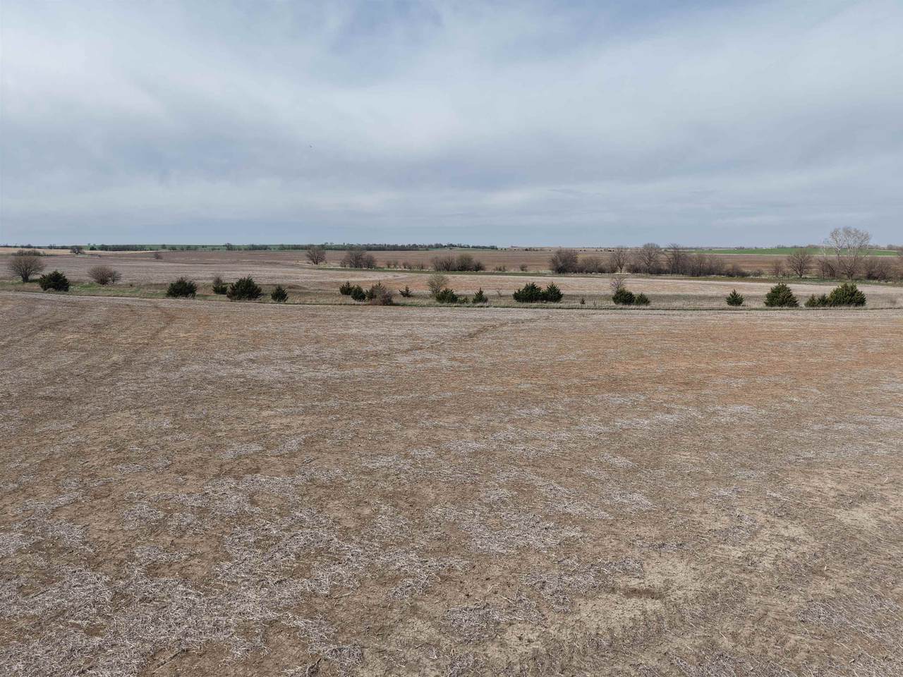 00000 290th Road - Photo 1