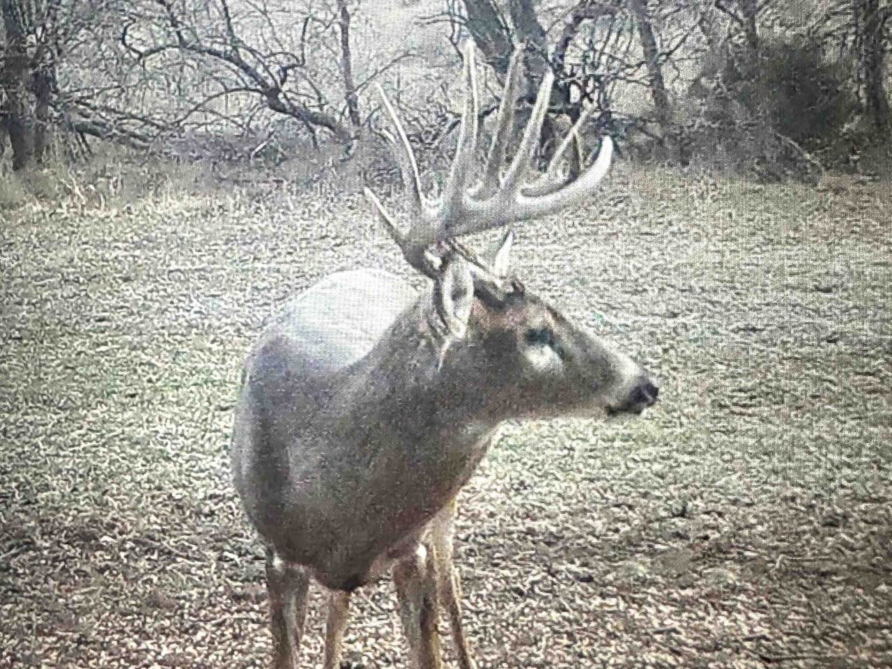 https://bt-photos.global.ssl.fastly.net/wichita/1280_boomver_1_674545-1.jpg