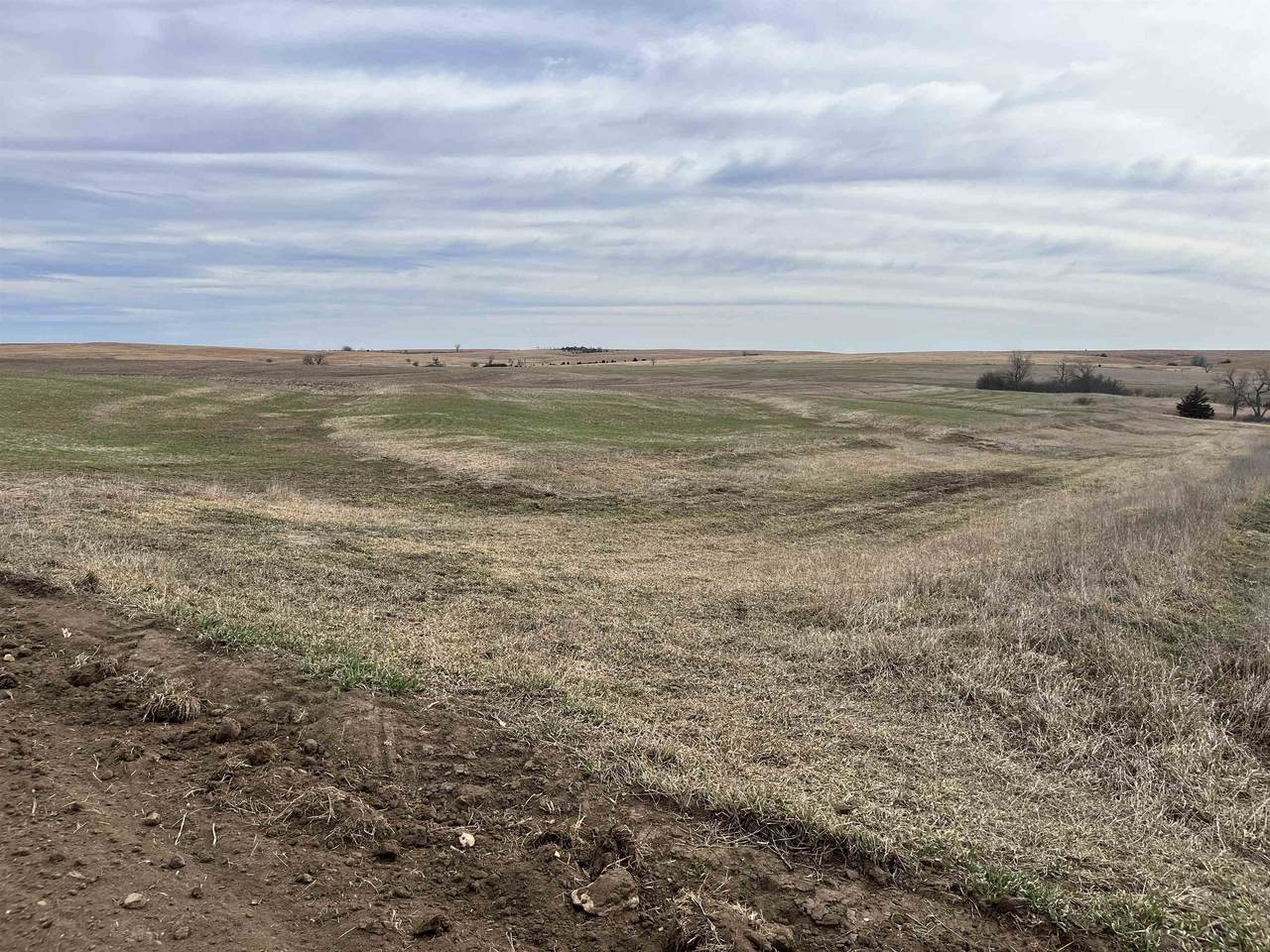 0000 Quail Road - Photo 1