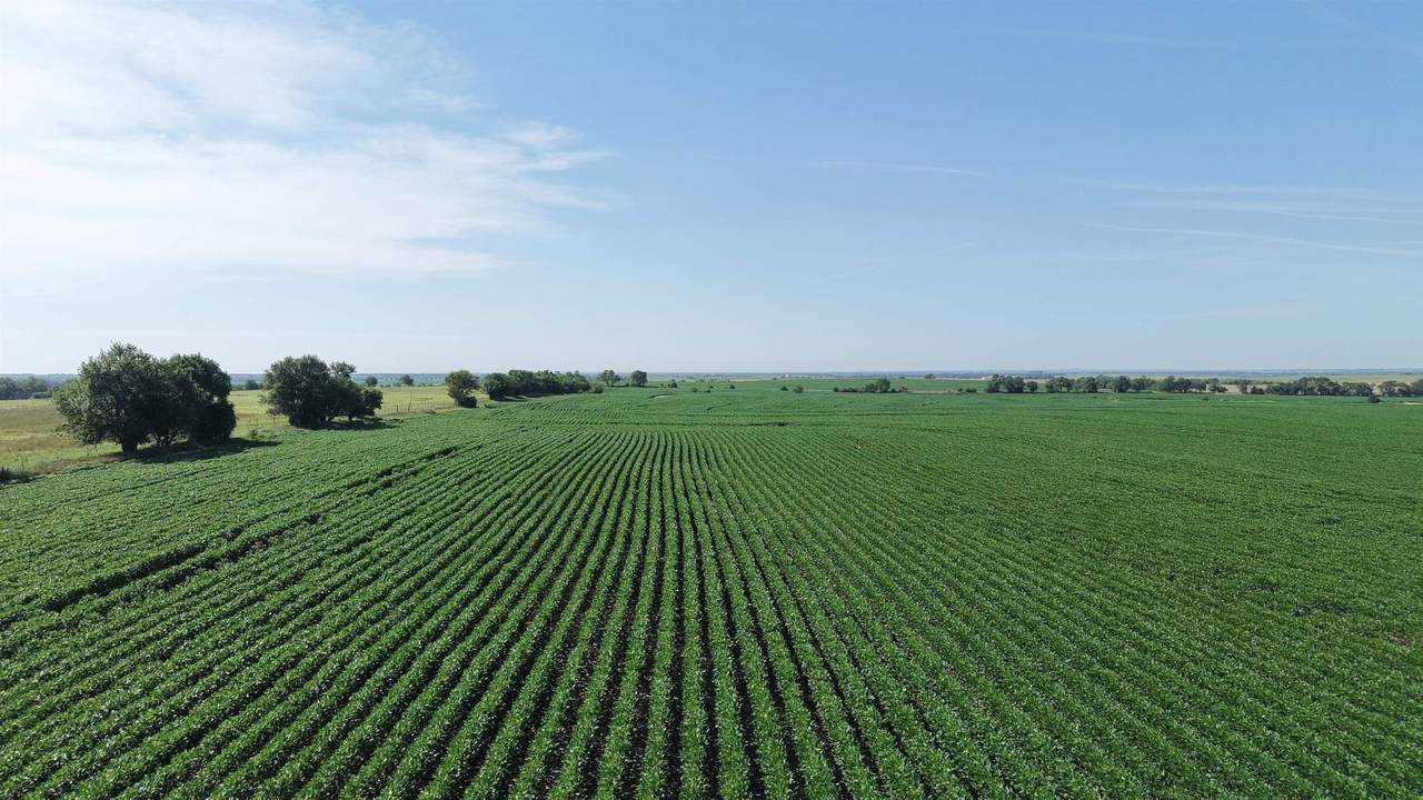00000 Dove Road - Photo 1