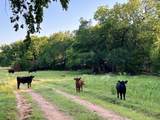 11292 Plumthicket Rd - Photo 26