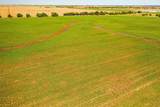 762 90 Rd - Photo 4