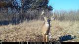 3100 Rd U - Photo 17