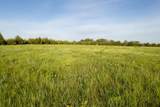 0000 51st Rd - Photo 14