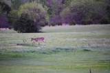 0000 51st Rd - Photo 24