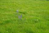 0000 51st Rd - Photo 28
