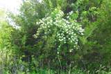 0000 51st Rd - Photo 29