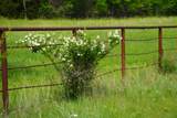 0000 51st Rd - Photo 30