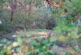 000 Stony Creek Rd - Photo 29