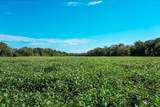 000 Stony Creek Rd - Photo 7