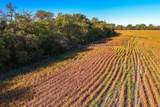 37+/- Acres 77th St. N. - Photo 13