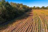 37+/- Acres 77th St. N. - Photo 15