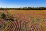 37+/- Acres 77th St. N. - Photo 10