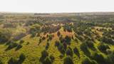 00 Blue Stem Rd - Photo 4