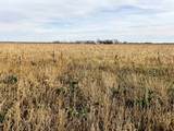 00000 Kipp Road - Photo 5