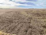 00000 Mariposa Road - Photo 6