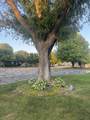 712 Colonial Ct. - Photo 4