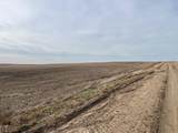0000 Quail Road - Photo 5