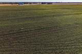 40+/- Acres 170th St. - Photo 12