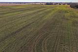 40+/- Acres 170th St. - Photo 14