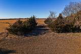 40+/- Acres 170th St. - Photo 18