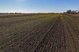 40+/- Acres 170th St. - Photo 8