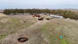 NE/c of County Rd 180 & Avenue P - Photo 4