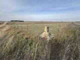NE/c of County Rd 180 & Avenue P - Photo 6