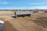 4529 Webb Rd - Photo 34