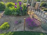 1702 Simpson Ave - Photo 31