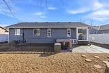 11710 Jamesburg St - Photo 31
