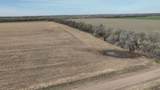 0000 Mayfield - Photo 8
