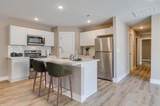 1629 Limuel St - Photo 6