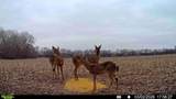 000 Tawakoni Rd - Photo 32