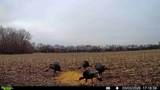 000 Tawakoni Rd - Photo 34