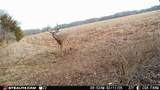 12357 Tawakoni Rd - Photo 26