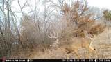 12357 Tawakoni Rd - Photo 27