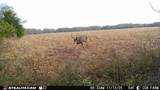 12357 Tawakoni Rd - Photo 30