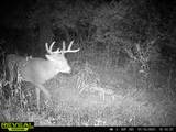 12357 Tawakoni Rd - Photo 32