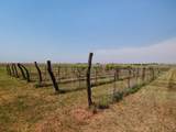1335 Quartz Rd - Photo 34