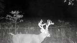 000 Shumway Rd - Photo 12