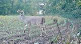 000 Shumway Rd - Photo 17