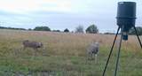 000 Shumway Rd - Photo 24