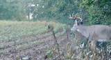 000 Shumway Rd - Photo 16